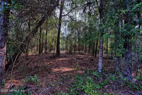 000 Cousintown Rd, Interlachen, FL 32148 photo 3