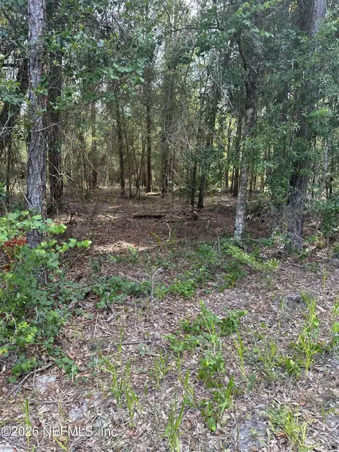 000 Cousintown Rd, Interlachen, FL 32148 photo 25