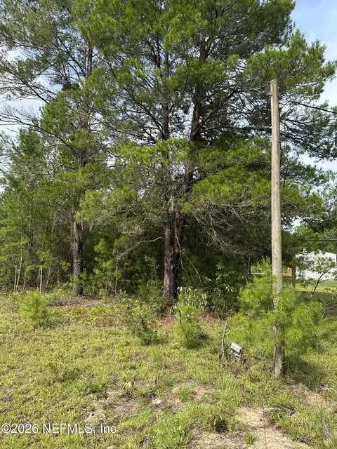 121 Panama St, Interlachen, FL 32148 photo 4