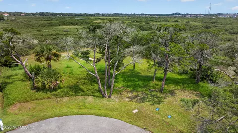115 Fiddler Crab Ln, Saint Augustine, FL 32080 photo 6