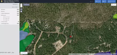 173 Hill Top Loop, Hawthorne, FL 32640 photo 34