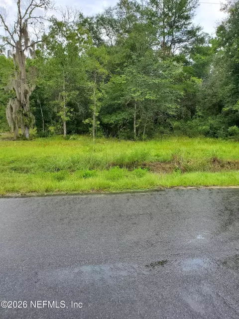 tbd Istanbul St, Interlachen, FL 32148 photo 2
