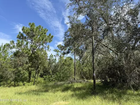 116 Lima St, Interlachen, FL 32148 photo 10
