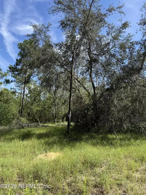 116 Lima St, Interlachen, FL 32148 photo 3