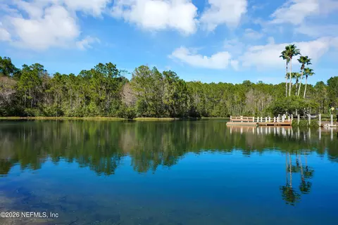 View/Area - 795 Eagle Cove Dr, Fleming Island, FL 32003 photo 3 of 4