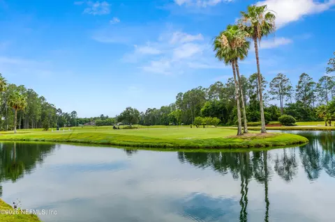 View/Area - 795 Eagle Cove Dr, Fleming Island, FL 32003 photo 4 of 4