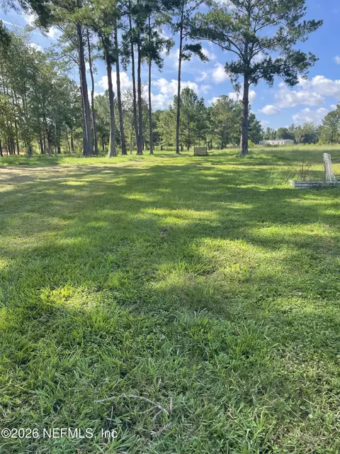 4321 Falcon Run Ln, Middleburg, FL 32068