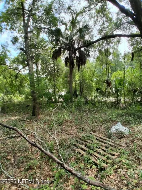 929 Annette Ave, Interlachen, FL 32148 photo 6