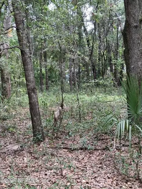 929 Annette Ave, Interlachen, FL 32148 photo 9