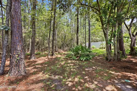 Exterior - 696 Hampton Downs Ct, Saint Johns, FL 32259 photo 5 of 7