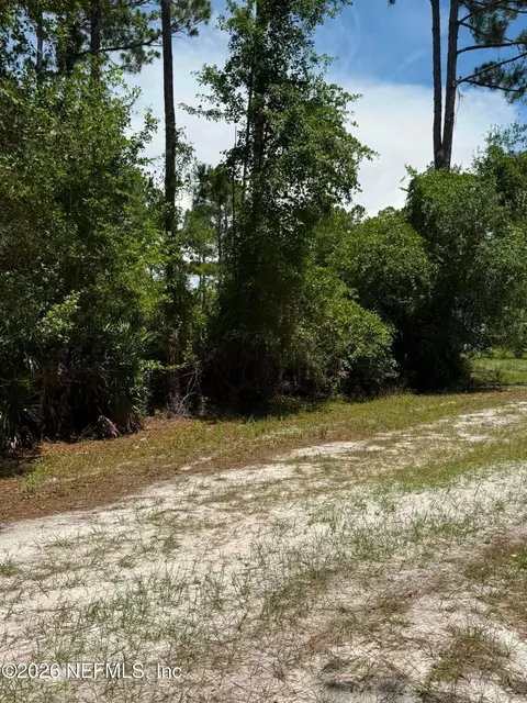 102 Willow Ln, Georgetown, FL 32139 photo 4