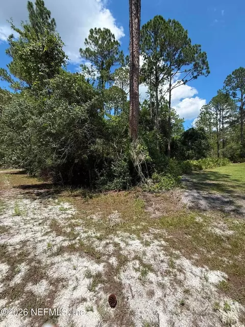 102 Willow Ln, Georgetown, FL 32139 photo 5