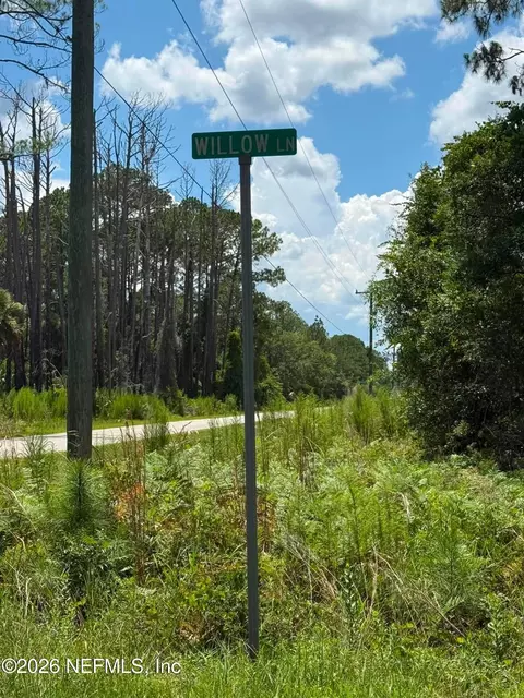 102 Willow Ln, Georgetown, FL 32139 photo 12