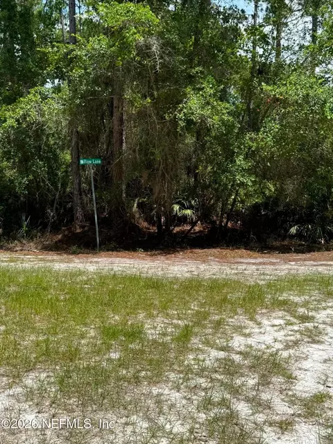 102 Willow Ln, Georgetown, FL 32139 photo 11