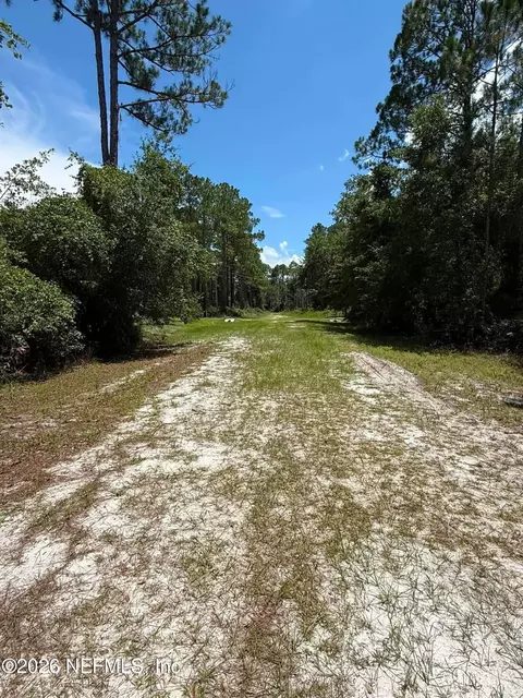 102 Willow Ln, Georgetown, FL 32139 photo 2
