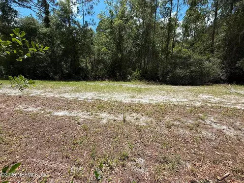 102 Willow Ln, Georgetown, FL 32139