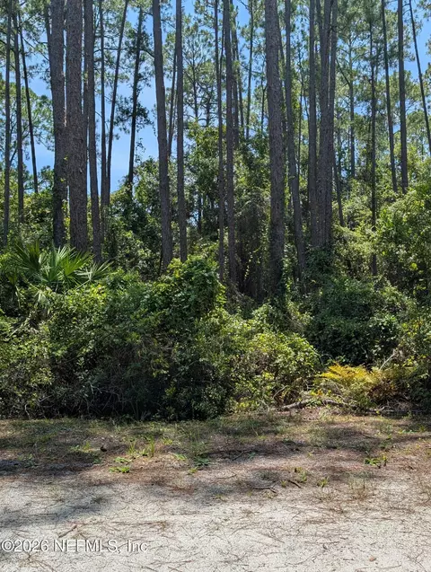 121 SE 1st St, Georgetown, FL 32139