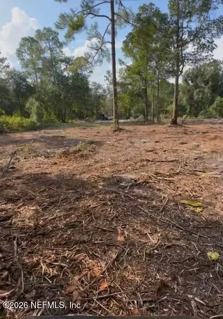 10398 Hollie Rd, Glen St. Mary, FL 32040