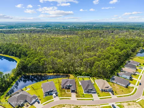 View/Area - 85292 Sandy Ridge Loop, Yulee, FL 32097 photo 4 of 16