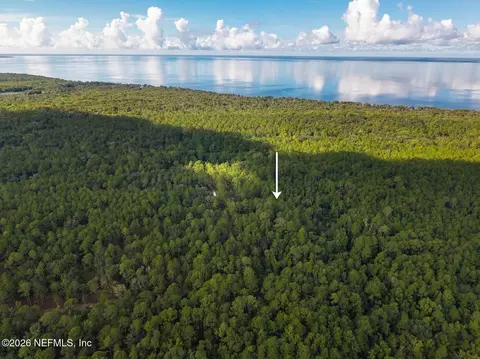 402 Siesta Dr, Georgetown, FL 32139 photo 3