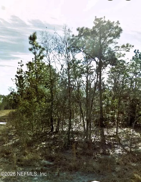 0 NE 3rd Pl, Williston, FL 32696 photo 2