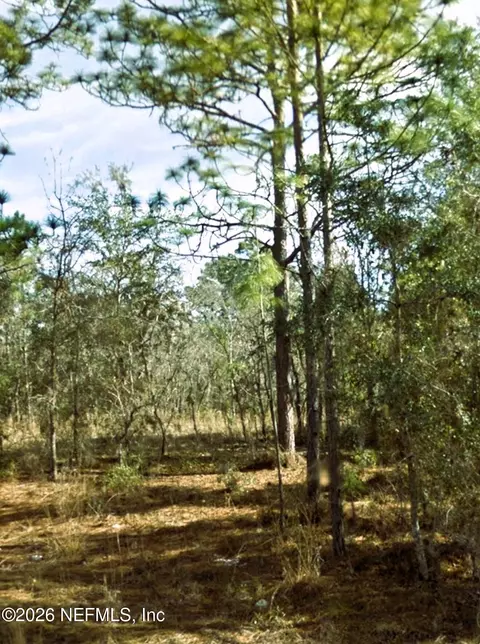 0 NE 3rd Pl, Williston, FL 32696 photo 3