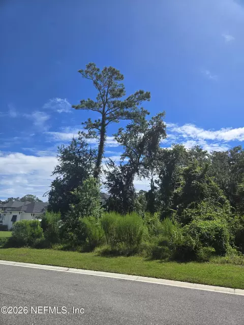 208 Canopy Hall Dr, Saint Augustine, FL 32095 photo 3