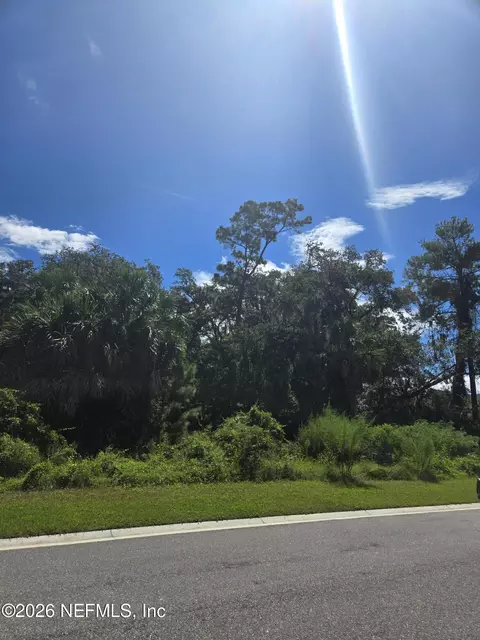 208 Canopy Hall Dr, Saint Augustine, FL 32095 photo 4