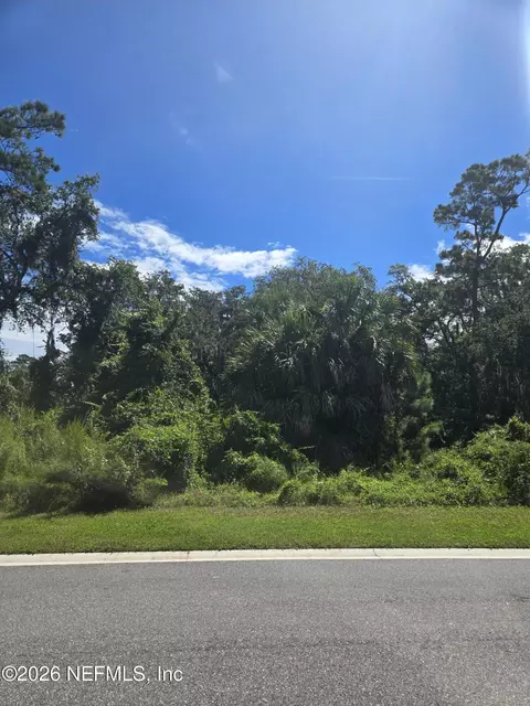 208 Canopy Hall Dr, Saint Augustine, FL 32095 photo 2