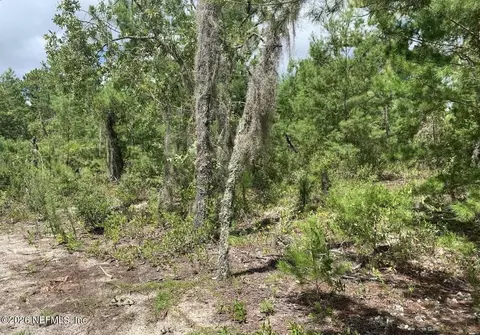 403 Lily Trl, Interlachen, FL 32148 photo 6