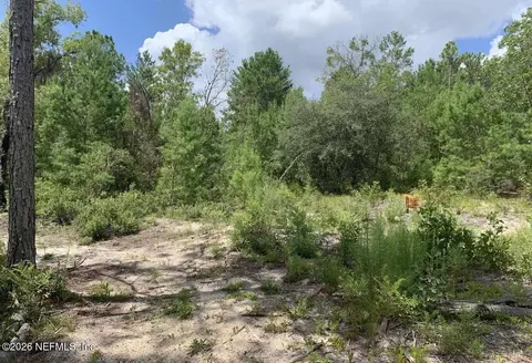 403 Lily Trl, Interlachen, FL 32148 photo 4
