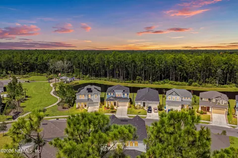 View/Area - 209 Silkgrass Pl, Saint Johns, FL 32259 photo 3 of 22