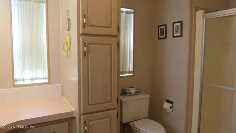 2103 Stacey Dr, Mount Dora, FL 32757 photo 33