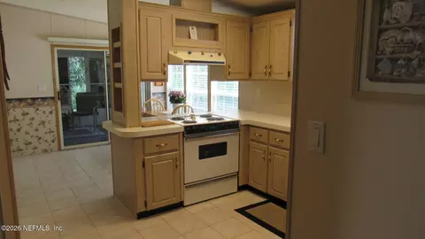 2103 Stacey Dr, Mount Dora, FL 32757 photo 24