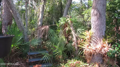 2103 Stacey Dr, Mount Dora, FL 32757 photo 17
