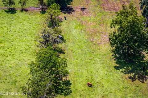 0 Henry Smith Rd, Hilliard, FL 32046 photo 6