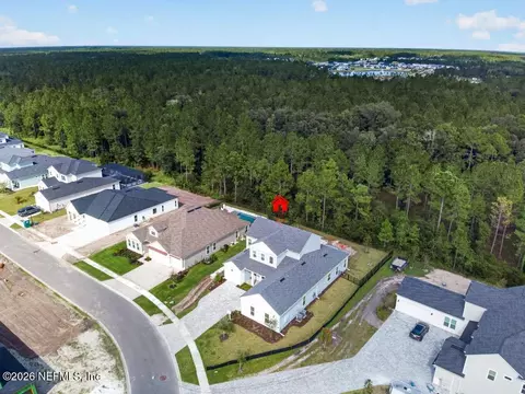 View/Area - 329 Sapling Ter, Saint Johns, FL 32259 photo 3 of 5
