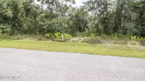0 80th Pl, Hampton, FL 32044 photo 5