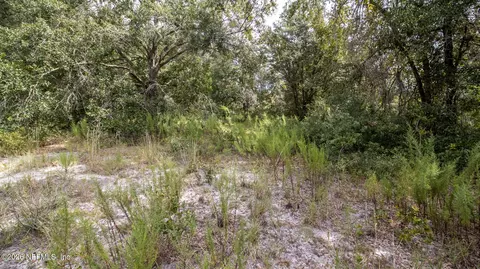 0 80th Pl, Hampton, FL 32044 photo 8
