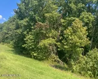 0 217 County Rd, Middleburg, FL 32234