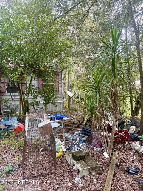 542 Cordell Ave, Interlachen, FL 32148 photo 3