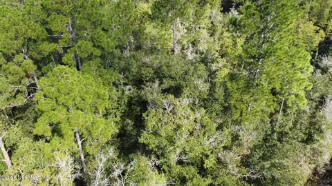 0 Dillon Ave, Hastings, FL 32145 photo 6