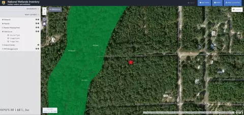 00 Huron St, Interlachen, FL 32148 photo 8