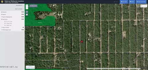 00 Gloria, Florahome, FL 32140 photo 11