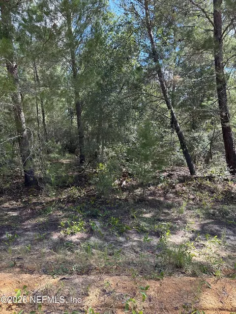 00 Gloria Ave, Interlachen, FL 32148 photo 5