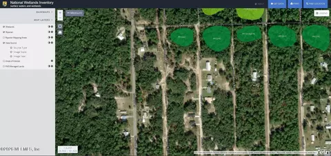 315 Rustic Rd, Satsuma, FL 32189 photo 7