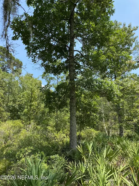 0 Thompson Bailey Rd, Saint Augustine, FL 32084 photo 6