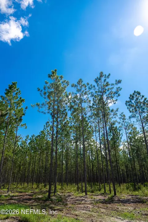 lot7 SE 40th Ave, Starke, FL 32091 photo 25