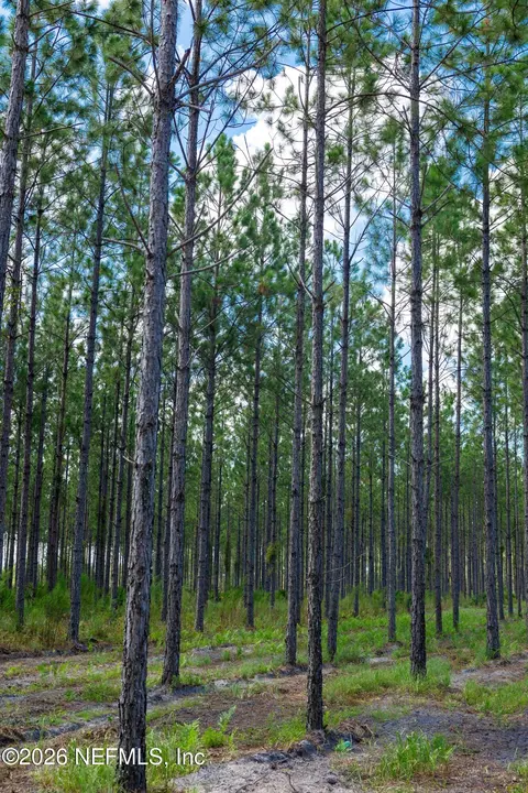 lot7 SE 40th Ave, Starke, FL 32091 photo 27