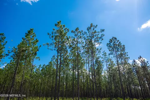 lot7 SE 40th Ave, Starke, FL 32091 photo 22